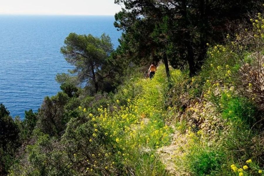 Caminando a Cala Llentrisca