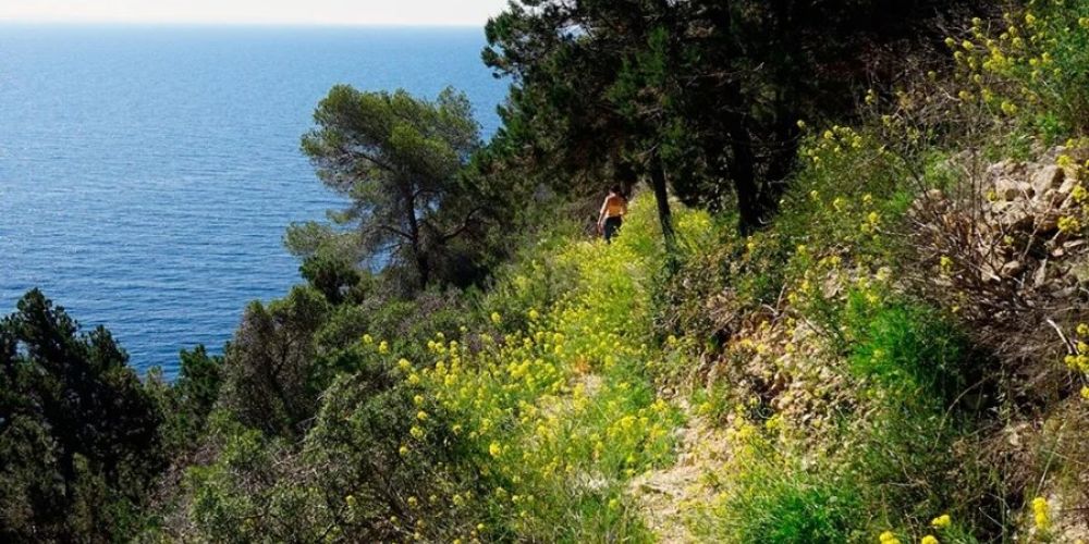 Caminando a Cala Llentrisca