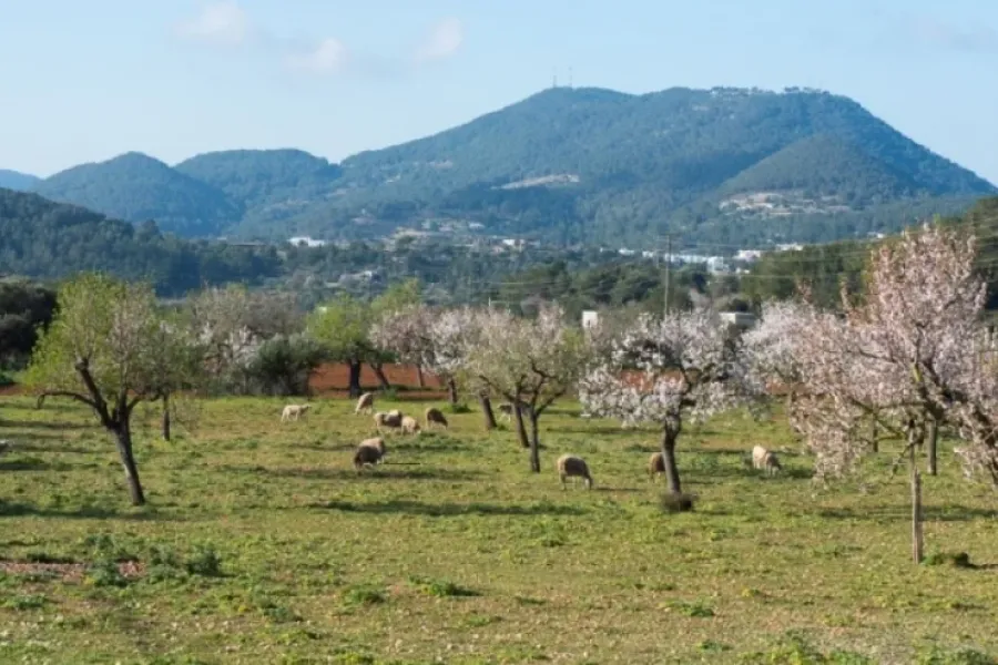 Sa Serra Grossa en BTT