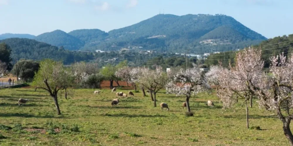 Sa Serra Grossa in BTT