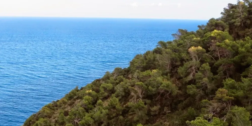 Cap des Llibrell en bicicleta